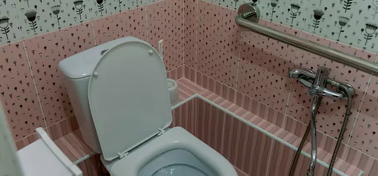 Meeting Diverse Needs With Accessible Restroom Solutions in Langley Park, MD